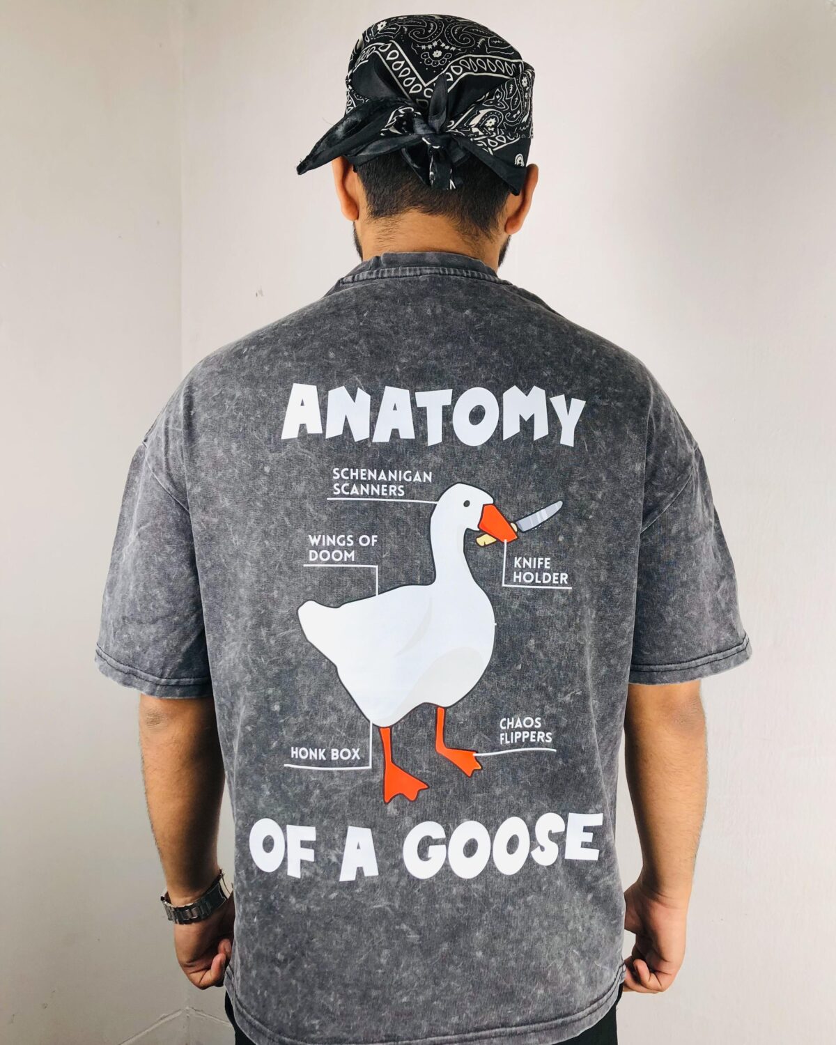 ANTOMY GOOSE - Image 1