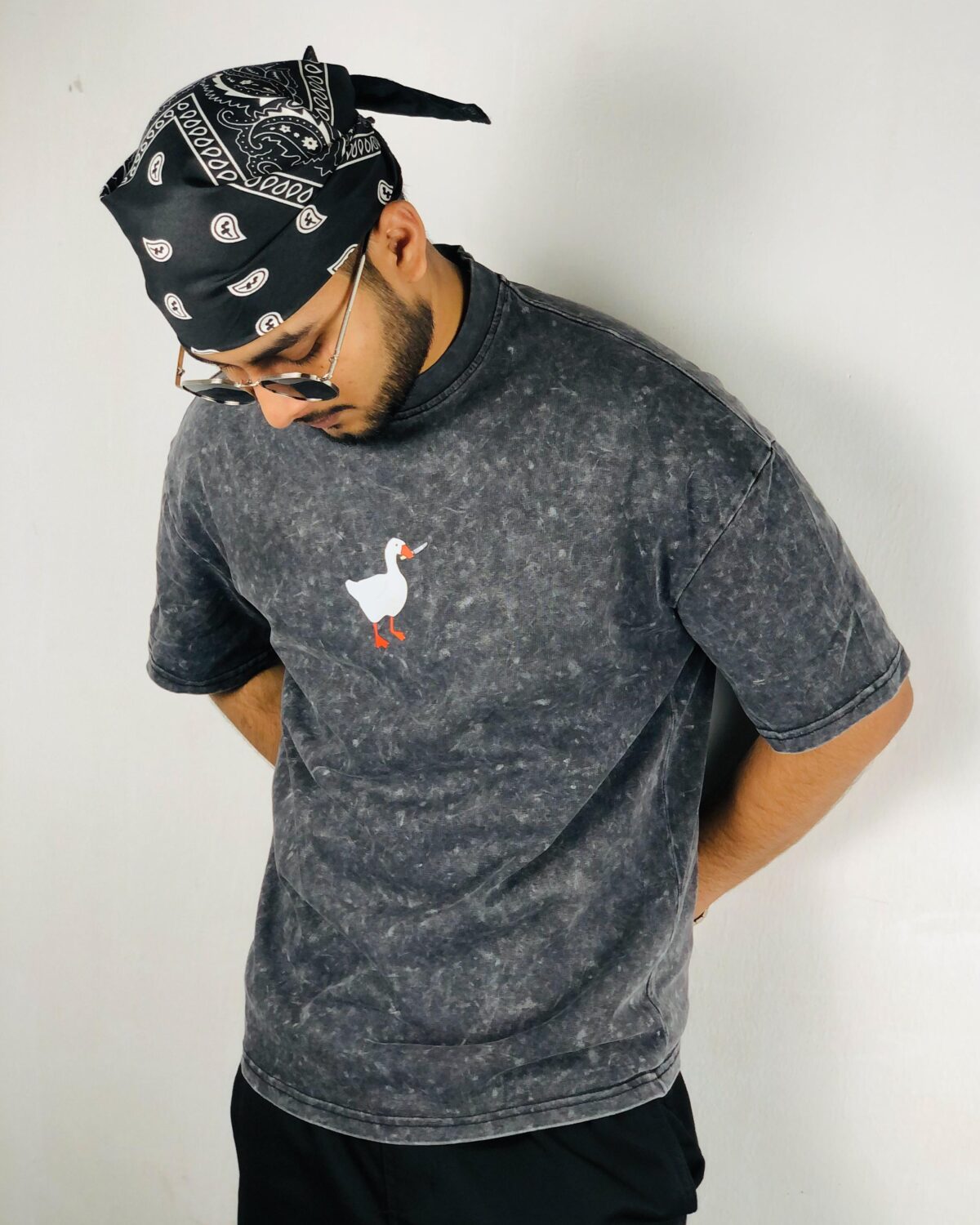 ANTOMY GOOSE - Image 2